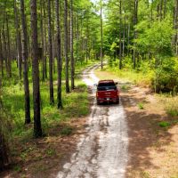 Old Hall Plantation - Beautiful Riverfront Property