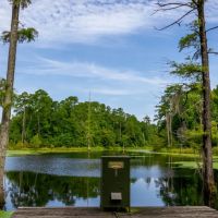Old Hall Plantation - Beautiful Riverfront Property images 4