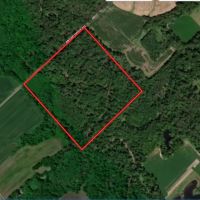 40 acre hunting farm southwest of Centralia