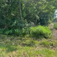 40 acre hunting farm southwest of Centralia images 2