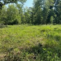 40 acre hunting farm southwest of Centralia images 5