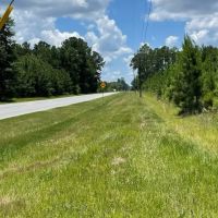 GA Highway 202 Estate Land images 5