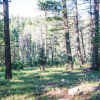 Sawyer Mesa 48