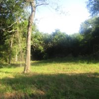 Recreational Hunting Paradise Grant Choctaw County OK 40 AC