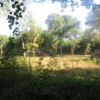 Recreational Hunting Paradise Grant Choctaw County OK 40 AC images 5