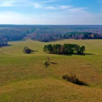 521 Acre Cattle Farm in Hardin County Tennessee