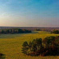 521 Acre Cattle Farm in Hardin County Tennessee images 2