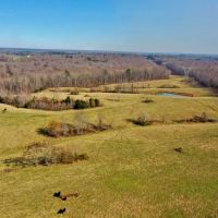 521 Acre Cattle Farm in Hardin County Tennessee images 5