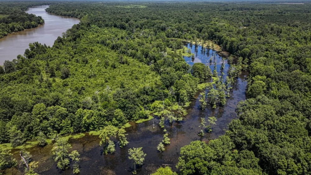 Lowndes County - Hairston Bend Hunting and Fish Club featured image