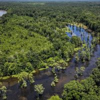 Lowndes County - Hairston Bend Hunting and Fish Club