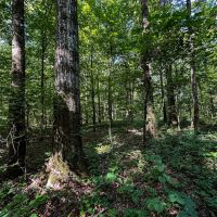 Lowndes County - Hairston Bend Hunting and Fish Club images 3