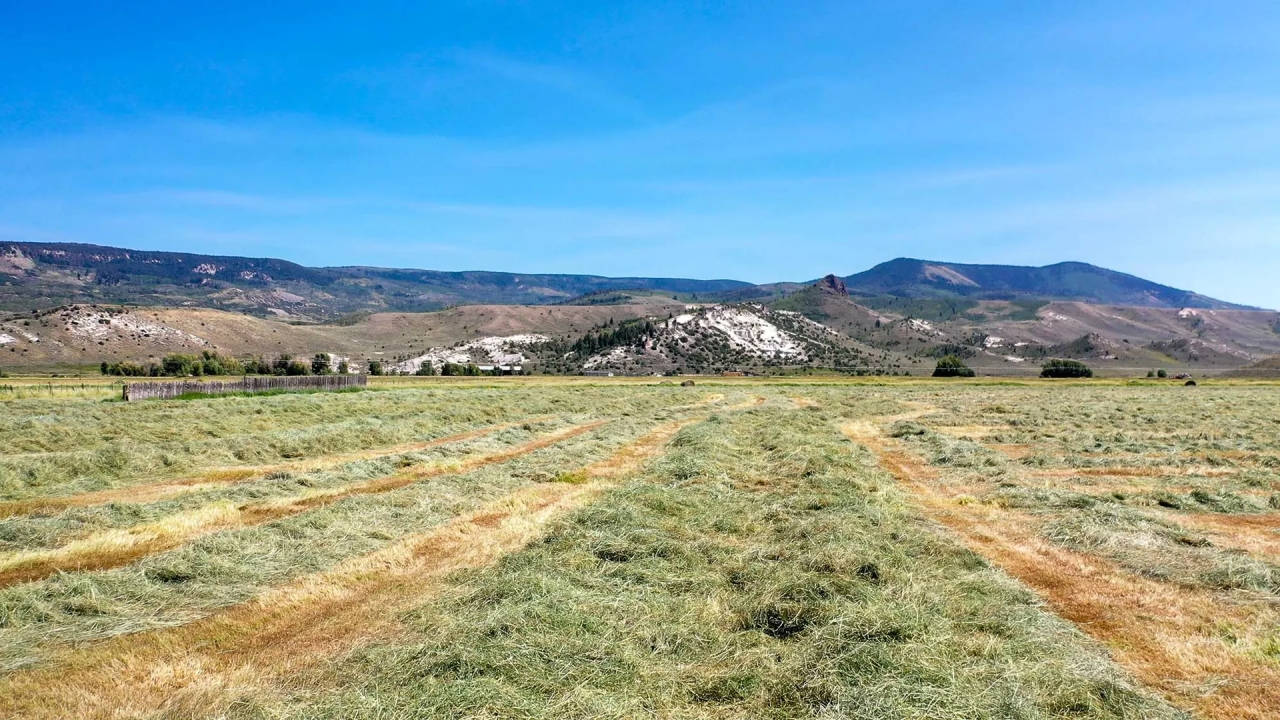 Phillips Creek Yampa Ranch Hunting Land for Sale