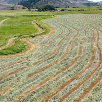 Phillips Creek Yampa Ranch images 4