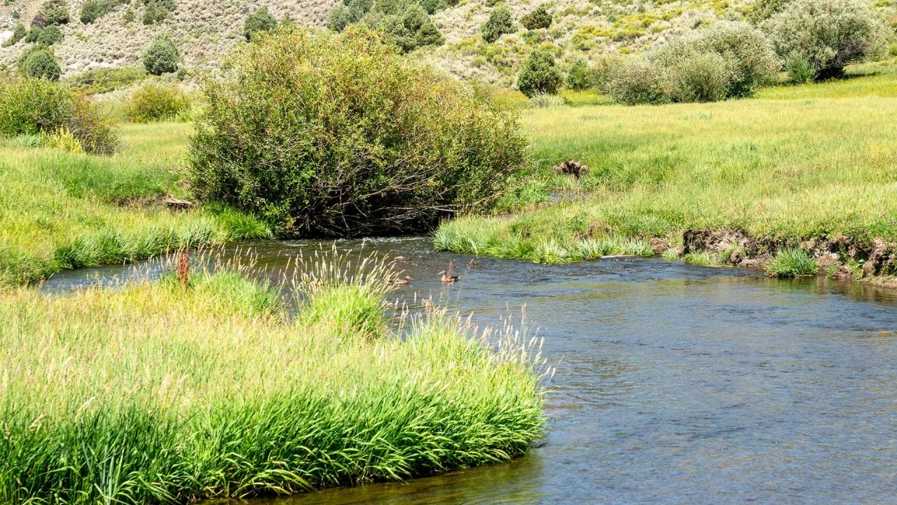 Phillips Creek Yampa Ranch Hunting Land for Sale