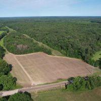 196 Acres in Sallis MS in Attala County