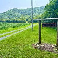161.4 Acre Scenic Blue Ridge Mountain Estate With Log Home And Breathtaking Views For Sale In Bedford County VA images 3
