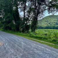 161.4 Acre Scenic Blue Ridge Mountain Estate With Log Home And Breathtaking Views For Sale In Bedford County VA images 4