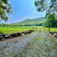 161.4 Acre Scenic Blue Ridge Mountain Estate With Log Home And Breathtaking Views For Sale In Bedford County VA images 5