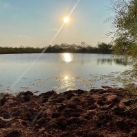 Back on the Market 140 - Acres Jones County