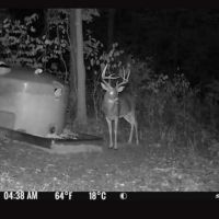 Aarons Creek Rd - 180 Acres - Lawrence County images 2