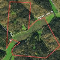 Aarons Creek Rd - 180 Acres - Lawrence County images 4