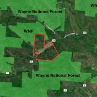 Aarons Creek Rd - 180 Acres - Lawrence County images 5