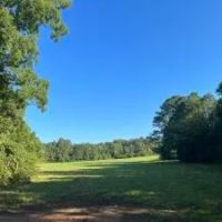 40 - Acres Developable Land in Oktibbeha County images 1
