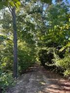 40 - Acres Developable Land in Oktibbeha County images 5