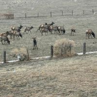 Chavara Ranch images 4