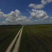1450 Acre Row Crop Farm in Brazoria County images 4