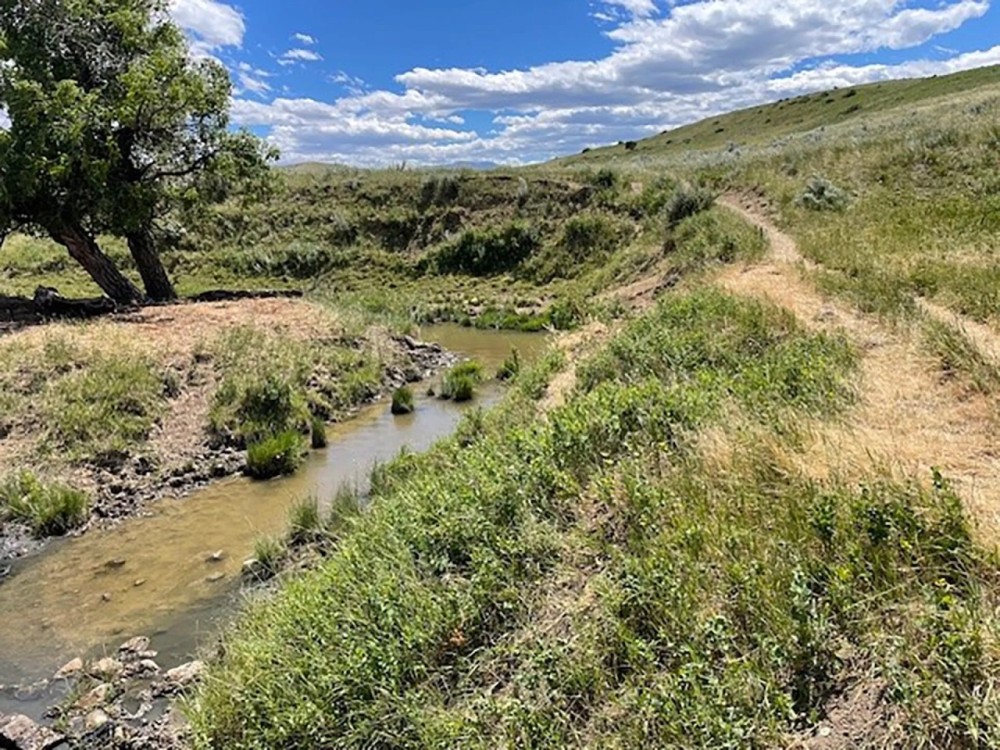 Elbow Creek Ranch featured image