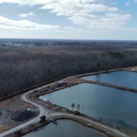 275-Acre Timberland for Sale in Tyrrell County NC images 3