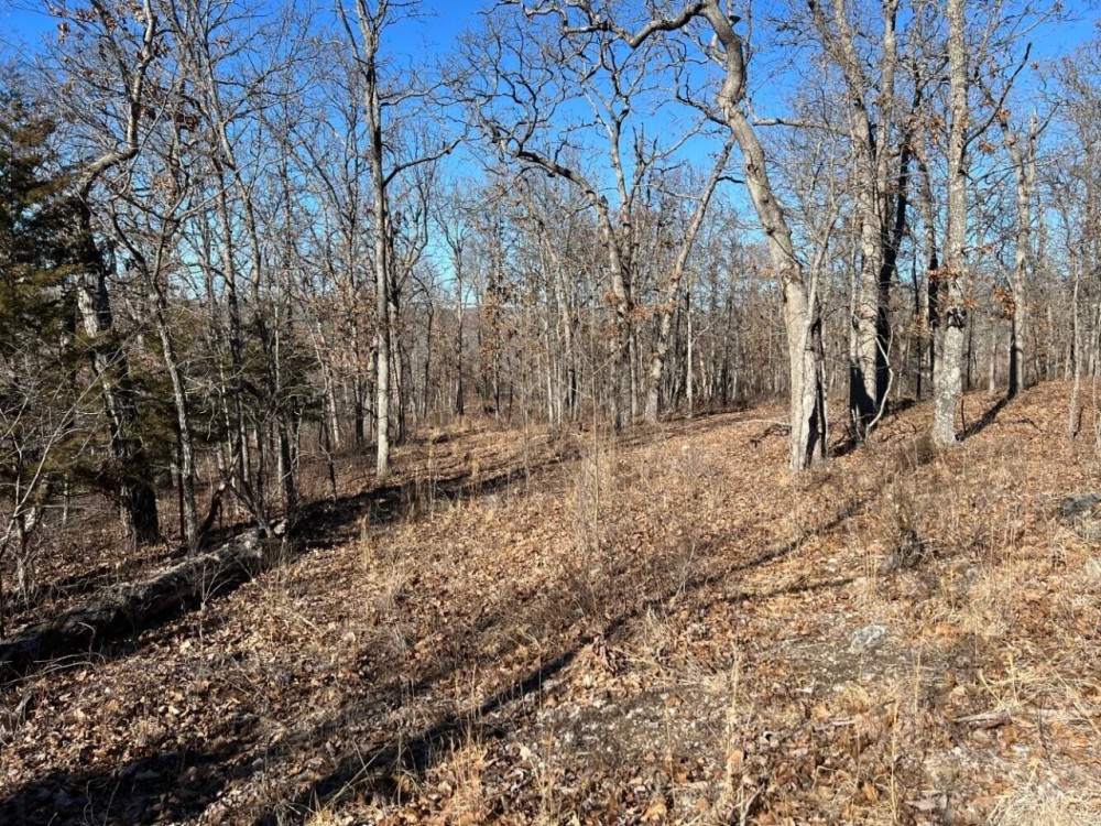 Lake of the Ozarks Acreage Hunting Land for Sale