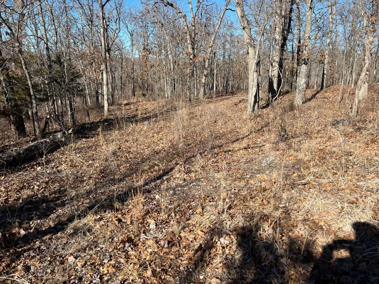 Lake of the Ozarks Acreage Hunting Land for Sale
