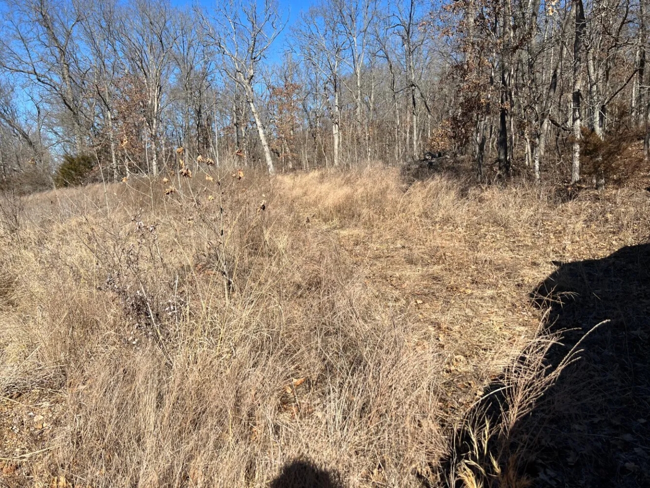 Lake of the Ozarks Acreage Hunting Land for Sale