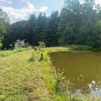 38 acres with Cabin and Pond in Rensselaerville NY 50 Frieda s Hill Lane images 2