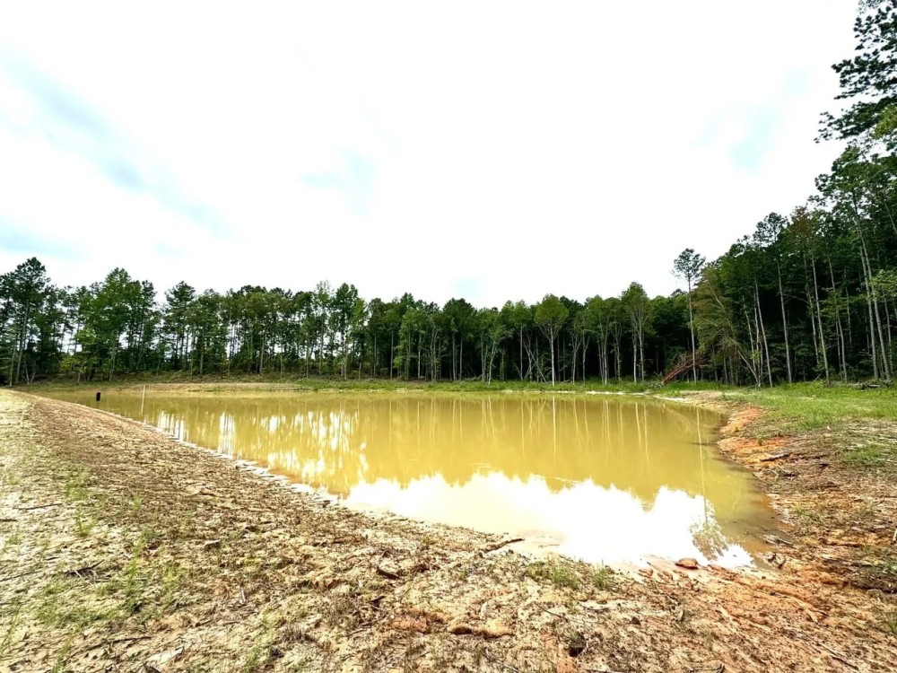 100 Acres and Newly Constructed Pond in Union Springs featured image