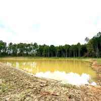 100 Acres and Newly Constructed Pond in Union Springs