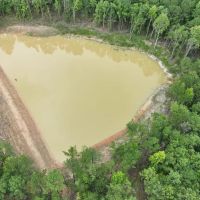 100 Acres and Newly Constructed Pond in Union Springs images 3