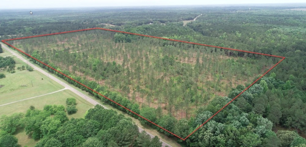59.95 acres outside of Pine Mountain in Troup County featured image