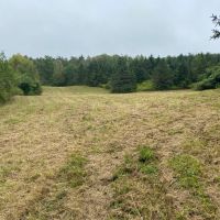 5 acre Building Lot and Recreational Land near State Land in Birdsall NY 9405 County Road 15B