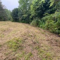 5 acre Building Lot and Recreational Land near State Land in Birdsall NY 9405 County Road 15B images 2