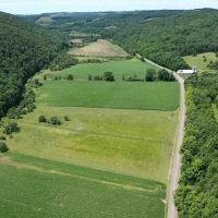 174 acre Farm and Recreational Property in Avoca NY 9916 County Road 9 images 4