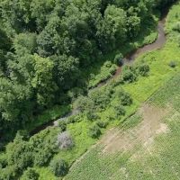 174 acre Farm and Recreational Property in Avoca NY 9916 County Road 9 images 5