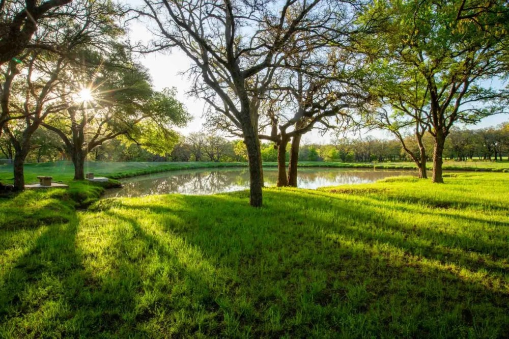 TS Coastal Ranch featured image