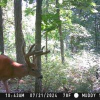 438 Acres in Knox County MO images 5