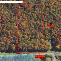 5 acre Building Lot bordering State Land in Gerry NY Herrick Rd images 4