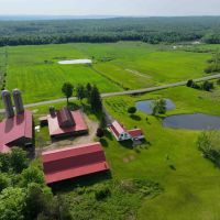 252 acre Farm with House Barns Gas Wells and Ponds in Dewittville NY 7057 Beech Hill Rd images 5
