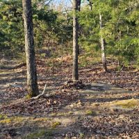 Ridgetop Hunting Land with Utilities images 3