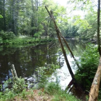Maynard F. Marsh WMA - 1,025 acres Waterfowl hunting land in Penobscot, ME images 3